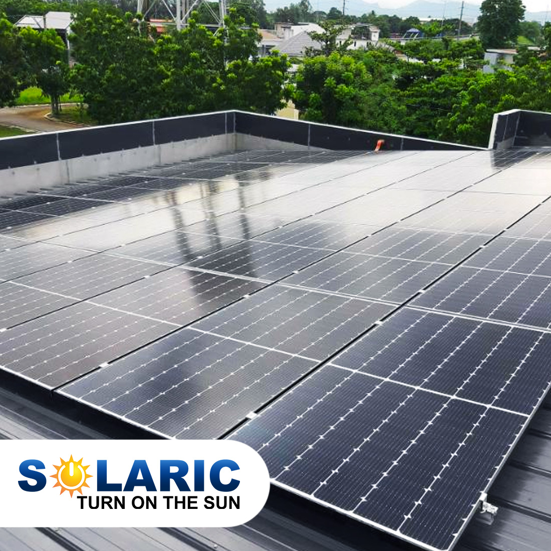 Promoting a green lifestyle